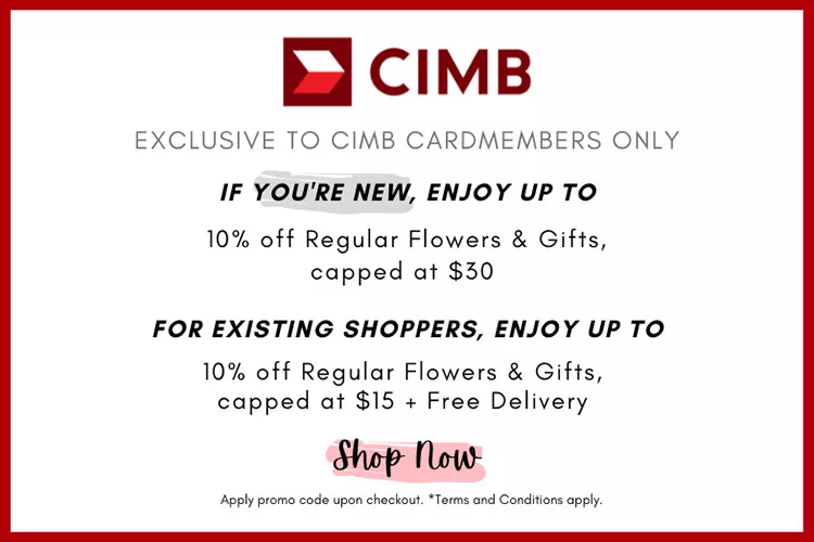 CIMB Promo