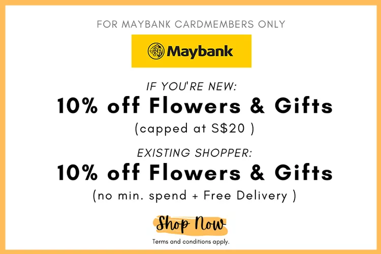 Maybank Promo